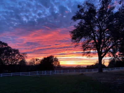 Horse Property Estate on 20+ Acres in Northern California - image 35