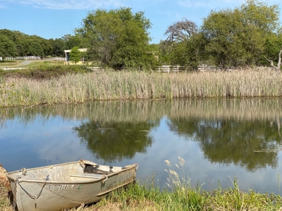 Horse Property Estate on 20+ Acres in Northern California - image 34
