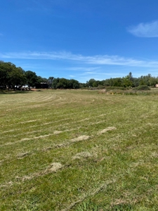 Horse Property Estate on 20+ Acres in Northern California - image 27