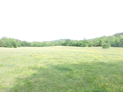 HUNTING Land FOR SALE next to OUACHITA NATIONAL FOREST - image 8