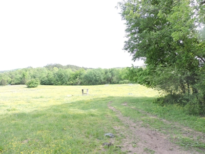 HUNTING Land FOR SALE next to OUACHITA NATIONAL FOREST - image 9