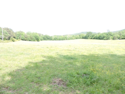 HUNTING Land FOR SALE next to OUACHITA NATIONAL FOREST - image 6