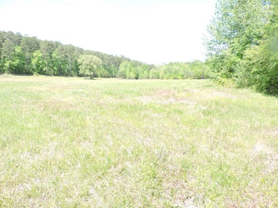 HUNTING Land FOR SALE next to OUACHITA NATIONAL FOREST - image 1