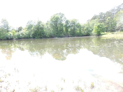 HUNTING Land FOR SALE next to OUACHITA NATIONAL FOREST - image 4