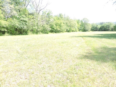 HUNTING Land FOR SALE next to OUACHITA NATIONAL FOREST - image 2