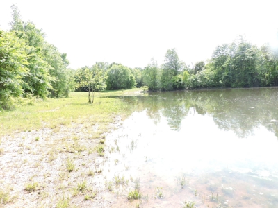 HUNTING Land FOR SALE next to OUACHITA NATIONAL FOREST - image 5