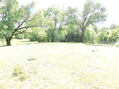 HUNTING Land FOR SALE next to OUACHITA NATIONAL FOREST - image 3
