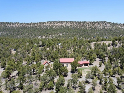 Luxury Home For Sale In Ridgeway, Colorado - image 34