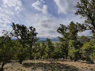 Luxury Home For Sale In Ridgeway, Colorado - image 35