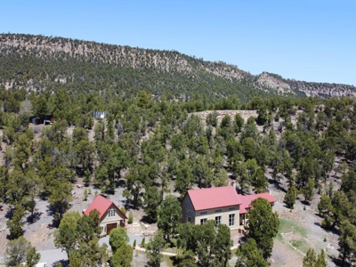 Luxury Home For Sale In Ridgeway, Colorado - image 3