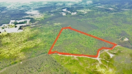 Prime North East Georgia Hunting Tract - image 1