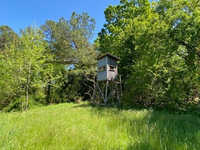 Oak Farms In Southern, VA - image 3