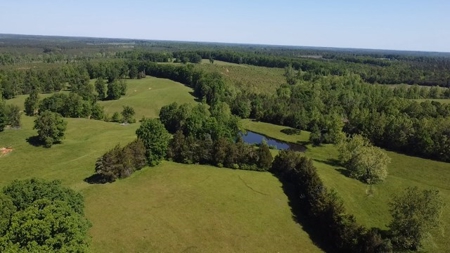 Oak Farms In Southern, VA - image 6