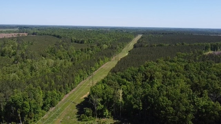 Oak Farms In Southern, VA - image 5