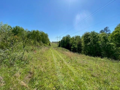 Oak Farms In Southern, VA - image 29