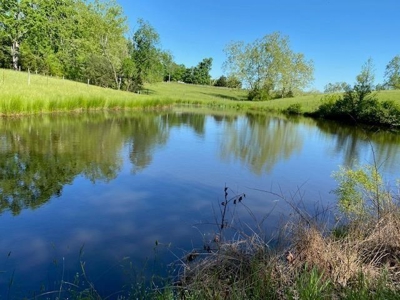 Oak Farms In Southern, VA - image 30