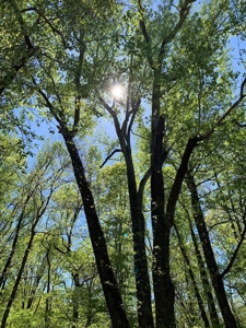 Kerr Lake's Taylor Estates In North Carolina - image 11