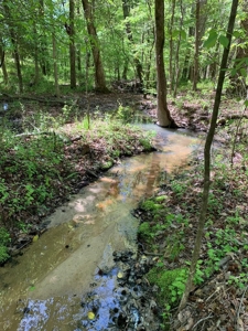Kerr Lake's Taylor Estates In North Carolina - image 4