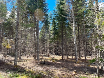 60 acres of Maine land for sale - image 2