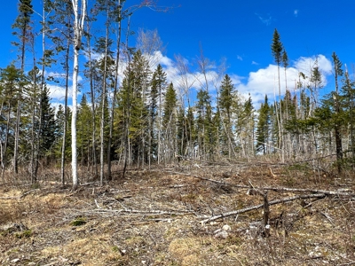 60 acres of Maine land for sale - image 7