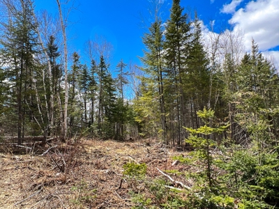 60 acres of Maine land for sale - image 4