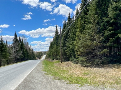 60 acres of Maine land for sale - image 1