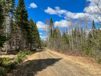 60 acres of Maine land for sale - image 3
