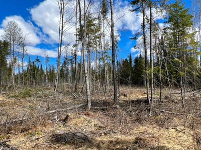 60 acres of Maine land for sale - image 8