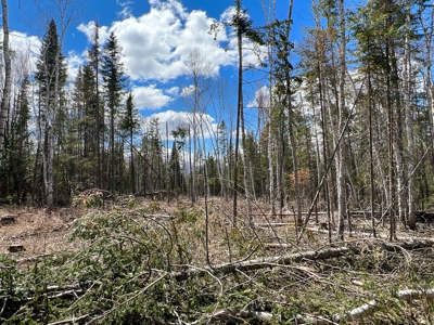 60 acres of Maine land for sale - image 9