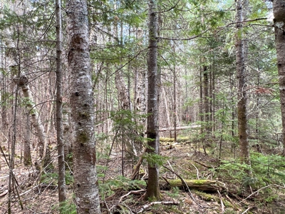 60 acres of Maine land for sale - image 6