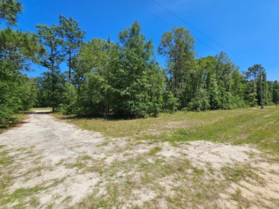 North Florida Land For Sale With Well, Spetic, And Power - image 20
