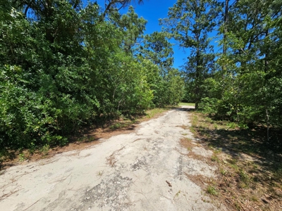 North Florida Land For Sale With Well, Spetic, And Power - image 16