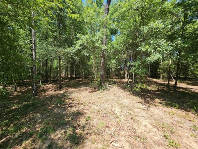 North Florida Land For Sale With Well, Spetic, And Power - image 10