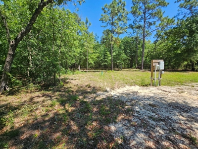 North Florida Land For Sale With Well, Spetic, And Power - image 13
