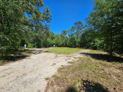 North Florida Land For Sale With Well, Spetic, And Power - image 17