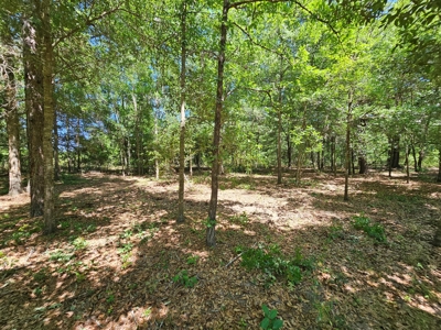 North Florida Land For Sale With Well, Spetic, And Power - image 7
