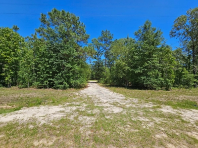 North Florida Land For Sale With Well, Spetic, And Power - image 1