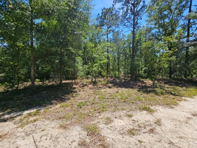 North Florida Land For Sale With Well, Spetic, And Power - image 15