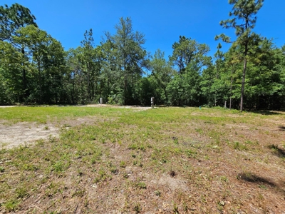 North Florida Land For Sale With Well, Spetic, And Power - image 5