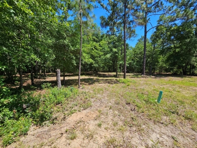 North Florida Land For Sale With Well, Spetic, And Power - image 6
