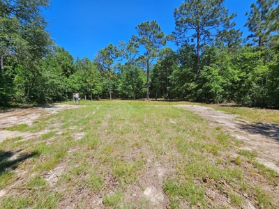 North Florida Land For Sale With Well, Spetic, And Power - image 14