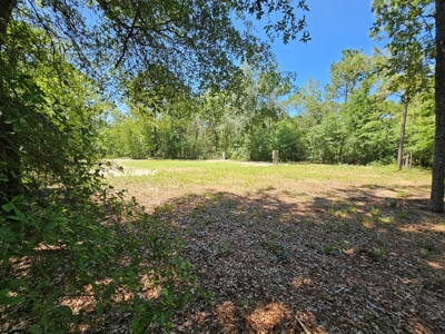 North Florida Land For Sale With Well, Spetic, And Power - image 4