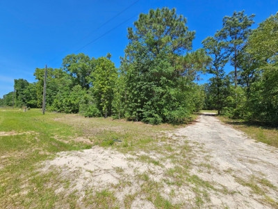 North Florida Land For Sale With Well, Spetic, And Power - image 19