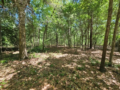 North Florida Land For Sale With Well, Spetic, And Power - image 11