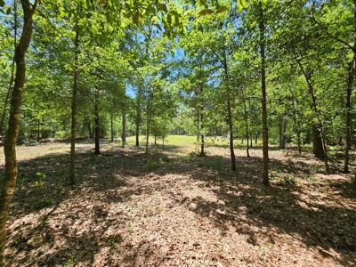 North Florida Land For Sale With Well, Spetic, And Power - image 2