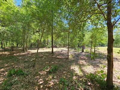 North Florida Land For Sale With Well, Spetic, And Power - image 8