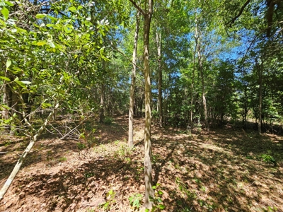 North Florida Land For Sale With Well, Spetic, And Power - image 9