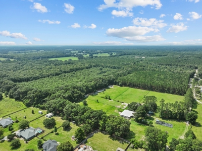 Planted Pines For Sale! High Springs Florida! - image 20