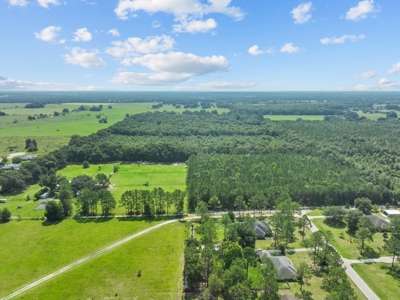 Planted Pines For Sale! High Springs Florida! - image 21