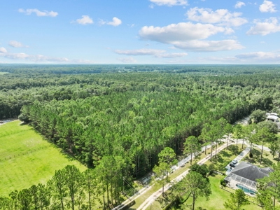 Planted Pines For Sale! High Springs Florida! - image 22
